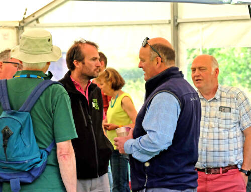 GO Falkland 2024 – why does it matter? 