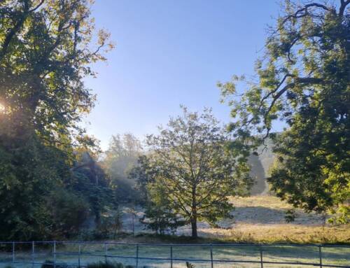 CHANGES AT FALKLAND ESTATE IN TRANSITION FROM STUARTS TO STEWARDSHIP.